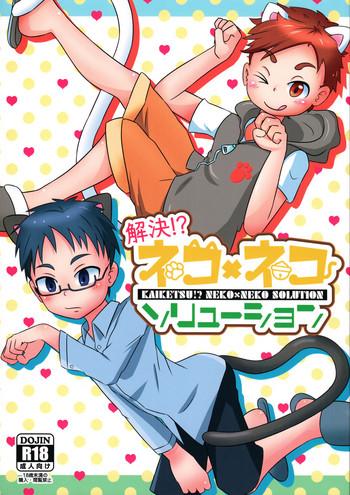 kaiketsu neko x neko solution cover