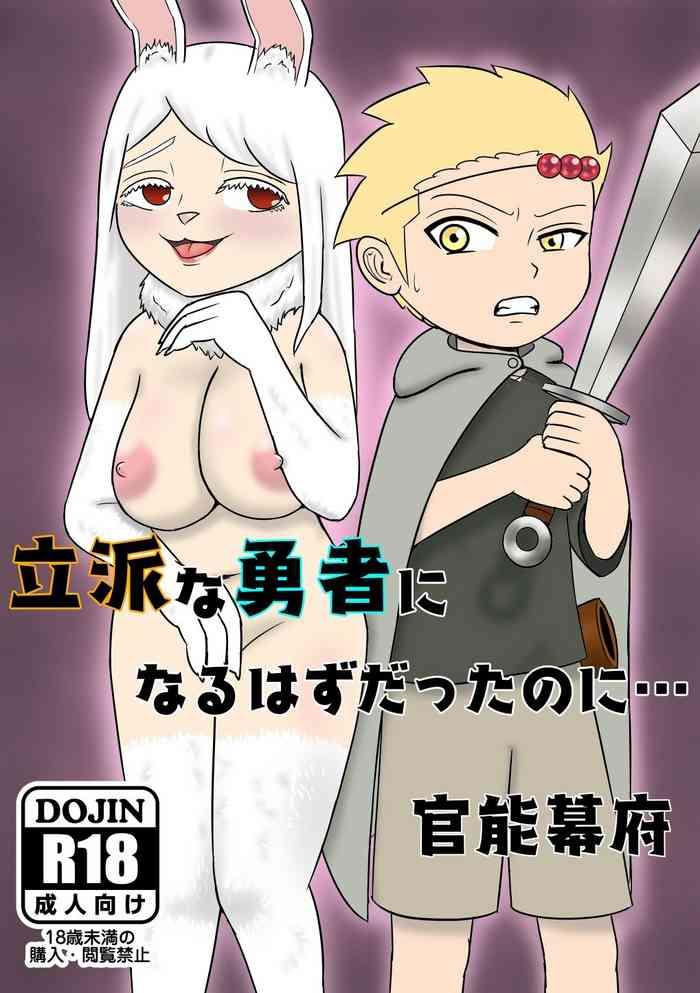 cover 144