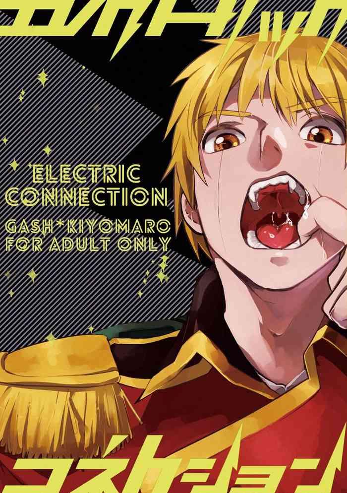 electric connection cover