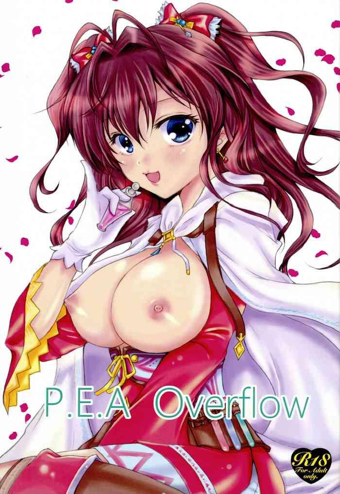 p e a overflow cover