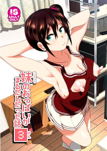 imouto no oppai ga marudashi datta hanashi 3 cover