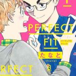 perfect fit ch 1 3 cover