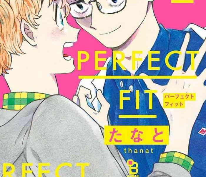 perfect fit ch 1 3 cover