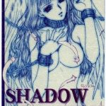 shadow gallery cover